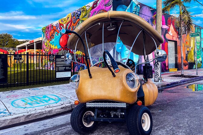 1 Hour Lady Buggy Art Tour Experience in Wynwood - Why a Lady Buggy tour fits Wynwood so well