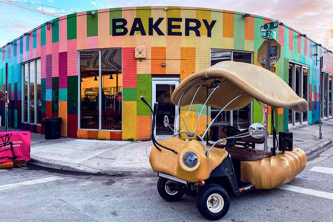 1 Hour Lady Buggy Art Tour Experience in Wynwood - Photo-friendly tips for windowless cars and quick stops