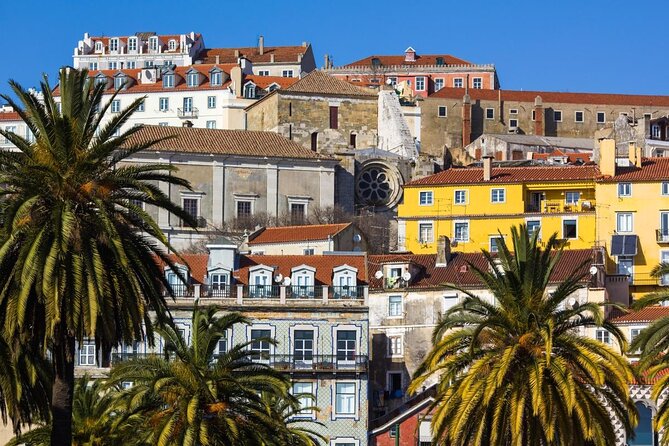 3-Hour Guided Street Art Walking Tour of Lisbon - Street Art in Lisbon: Why This Route Works