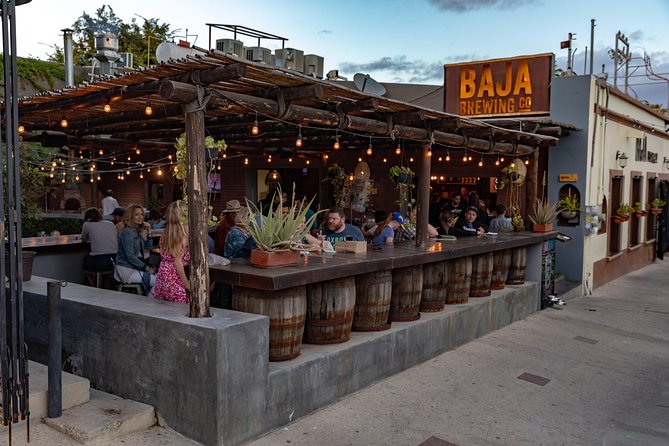 4 Hours Art Walk Experience in Cabo - Key things I’d watch for before you book