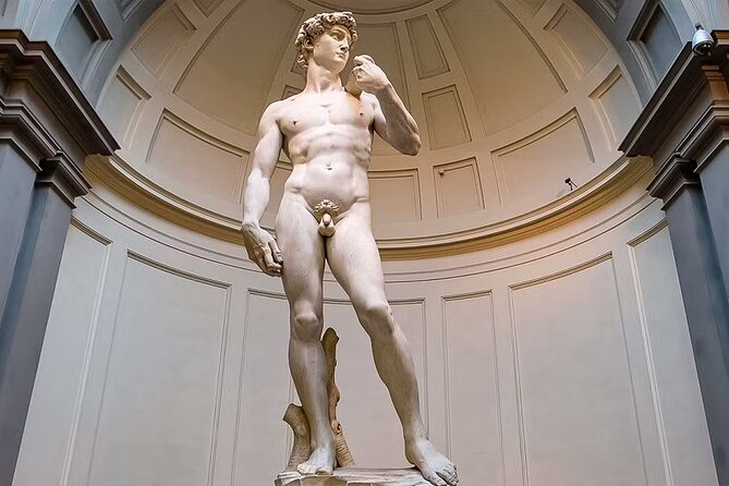 Accademia Gallery Reserved Entry Tickets Experience - Key highlights to know before you go
