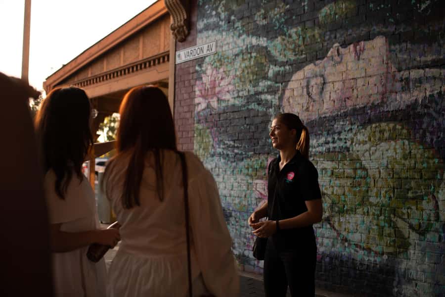 Adelaide: Paint and Palate Street Art Tour - Who this tour suits (and who might skip it)