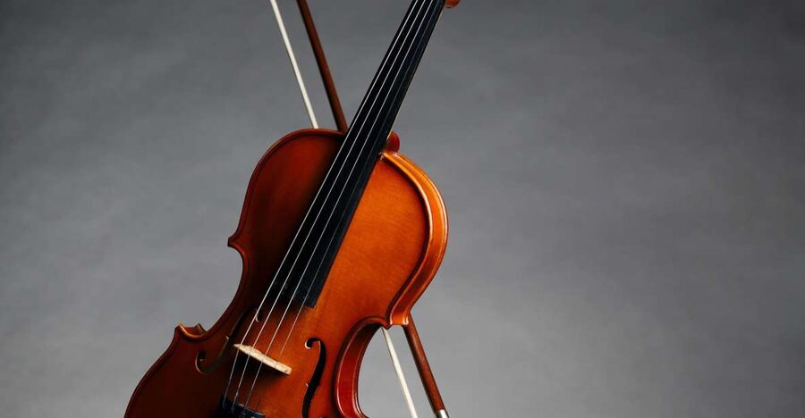 Afternoon Access to Accademia Gallery: David & Stradivarius - Key Highlights I’d Prioritize