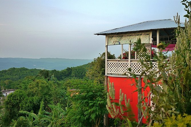 Ahhh Ras Natango Gallery and Garden Private Transfer - The view over Montego Bay: when photos are actually worth the stopping