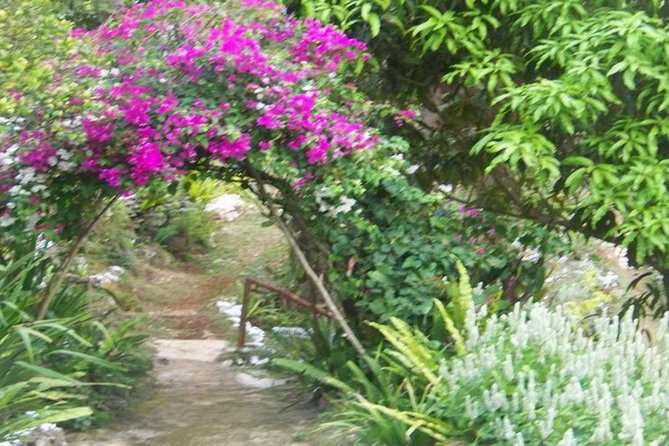Ahhh Ras Natango Gallery and Garden Private Transfer - Should you book Ahhh Ras Natango Gallery and Garden?