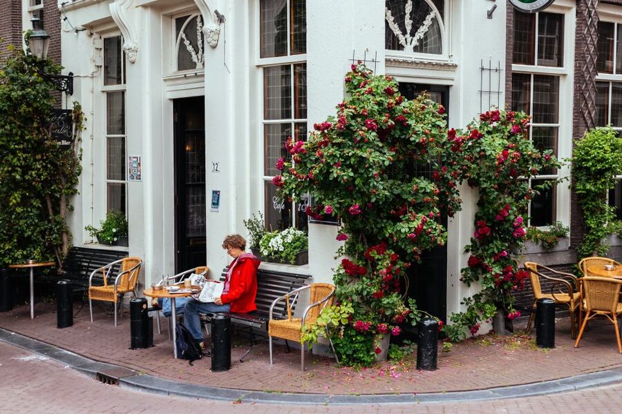 Amsterdam: 1.5-Hour Private Kick-Start Tour with a Local - The booking decision: should you do it?