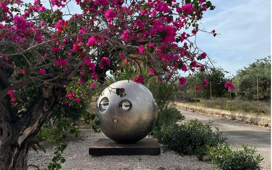 Arte-Contemporary: Sculpture Park and Art Gallery visit - Practical Tips to Make Your Visit Smoother