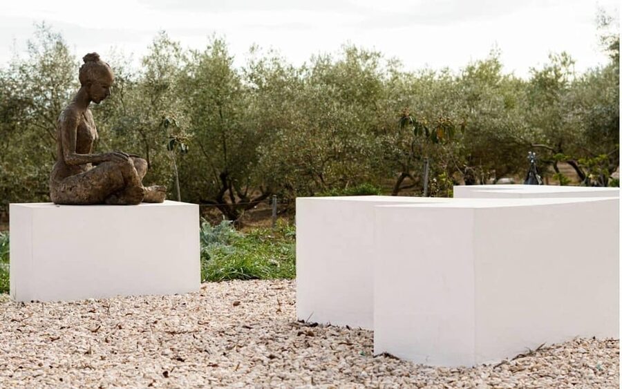 Arte-Contemporary: Sculpture Park and Art Gallery visit - Welcome Drink and the Small Touches That Matter