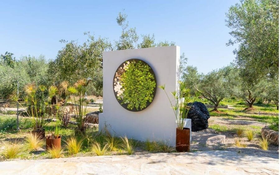 Arte-Contemporary: Sculpture Park and Art Gallery visit - Getting There and Finding the Entrance (Your First 5 Minutes)