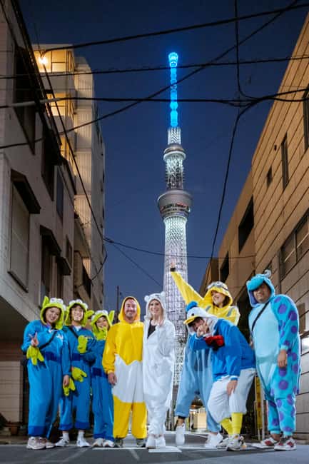 Asakusa/Tokyo Bay & Akihabara Go Karting Tours - What you’ll actually get: karts, costumes, photos, and the pacing