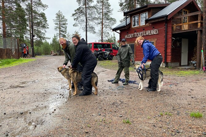Autumn Husky Sit and Drive Cart Tour from Kiruna - Key moments you’ll actually care about