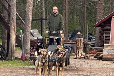 Autumn Husky Sit and Drive Cart Tour from Kiruna - The sit-and-drive lesson: harnessing and steering (without feeling rushed)