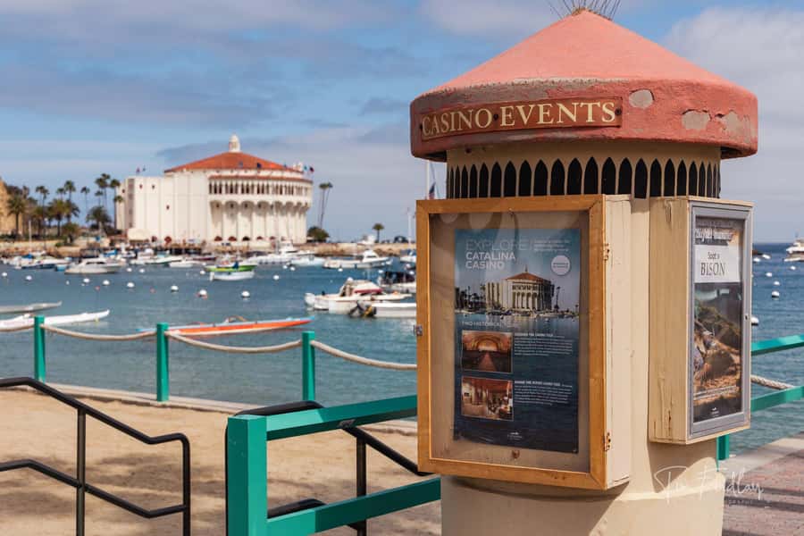 Avalon: Private Golf Cart Tour with Driver-Guide - Key highlights that make this tour worth your time