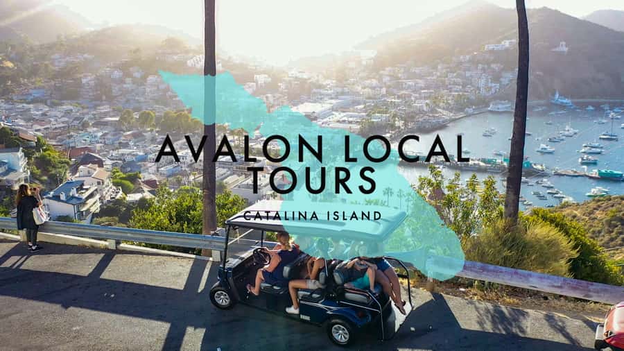 Avalon: Private Golf Cart Tour with Driver-Guide - Private Golf Cart in Avalon: why this 2-hour loop works