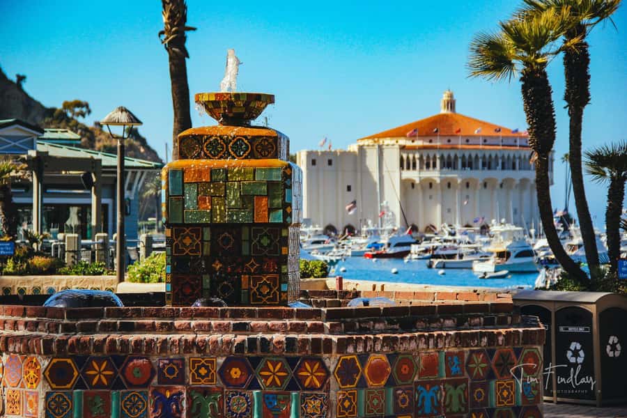 Avalon: Private Golf Cart Tour with Driver-Guide - What you’ll actually see: 25+ sightseeing stops with bay-view photo moments