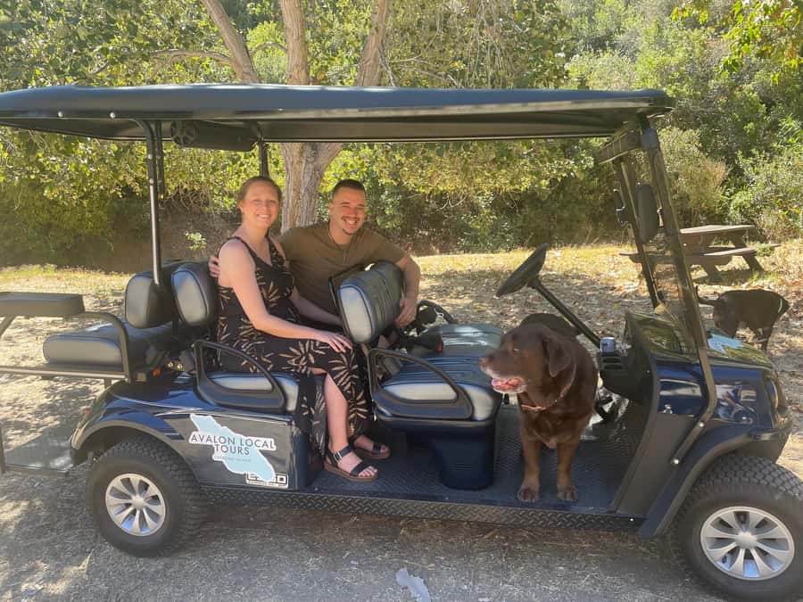 Avalon: Private Golf Cart Tour with Driver-Guide - FAQ