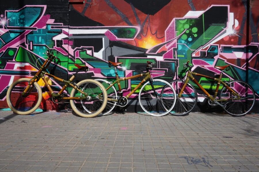 Barcelona: 3.5-Hour Street Art Tour by Bamboo Bike - What you’ll look for: stencil, spray-painted murals, and expressive tags