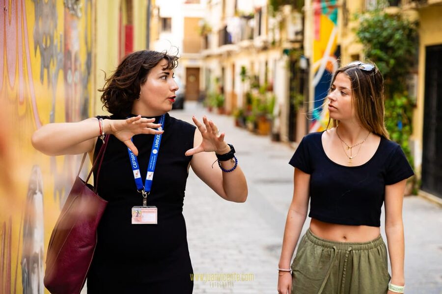 Best Street Art in Valencia Walking Tour - Behind the IVAM and the Velluters finale: murals on a bigger scale