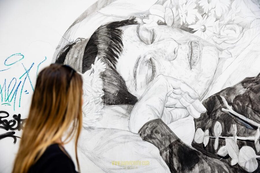 Best Street Art in Valencia Walking Tour - Price and value: is $41 fair for 2 hours?