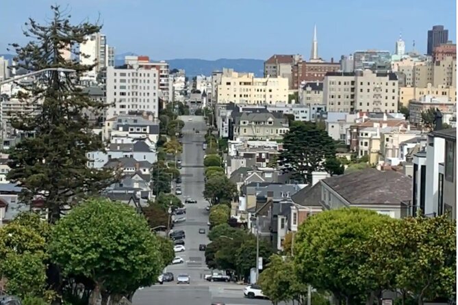 Billionaire Row and Palace of Fine Art Walking Tour - Divisadero Street: Mansions, Power, and the Stories Behind the Blocks