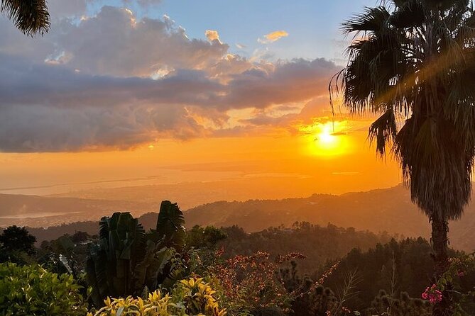 Blue Mountain Coffee, Bob Marley and Art Tour from Montego Bay - Bob Marley Museum tour: how to make the most of the 1-hour visit