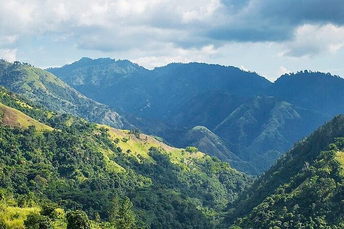 Blue Mountain Coffee, Bob Marley and Art Tour from Montego Bay - Strawberry Hill: an optional scenic break with food and drinks