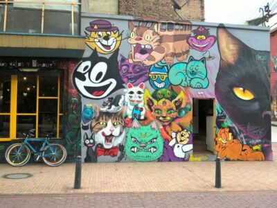 Bogotá Street Art and Graffiti Tour 3 Hrs - The downtown guided walk: from graffiti origins to today’s commentary