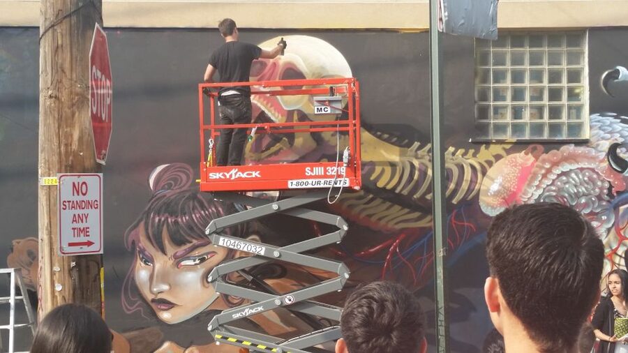 Brooklyn: Bushwick Street Art Walking Tour - The guide experience: why Audrey and other artists get such high praise