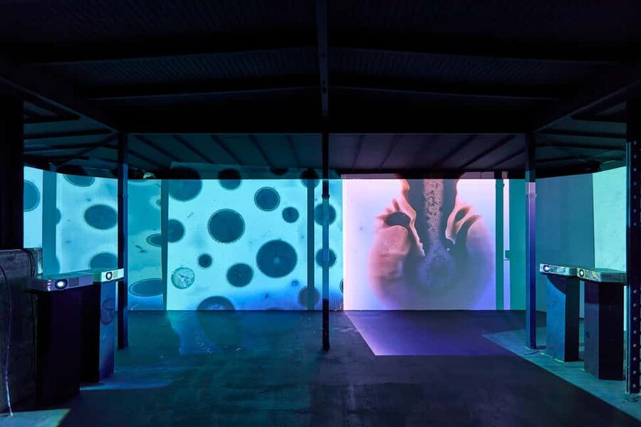 Budapest: Light Art Museum - Immersive New Media Experience - Price and value: is $18 for Light Art Museum worth it