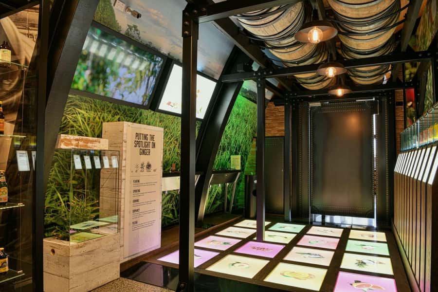 Bundaberg: Brew Tasting and Self-Guided Gallery Tour - Price and value: why $14 works so well here