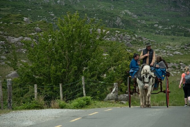 Bus, Boat & Jaunting Cart Tour (Jaunting Cart Paid Separately) - Rain, Layers, and Why This Tour Needs “Weather Sense”