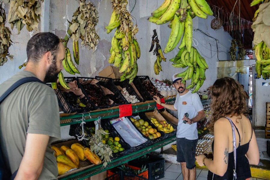 Cancun: 3-Hour Food Tour, Visit to the Market & Street Art - Street art stops: seeing Cancun outside the beach ads