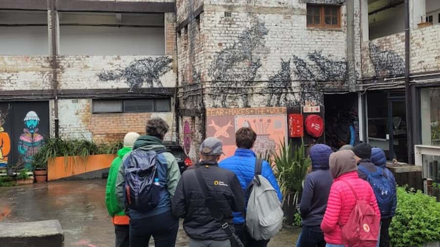 Cape Town: Inspiring sustainable change through Street Art - Murals, messages, and techniques: how you learn to read the walls