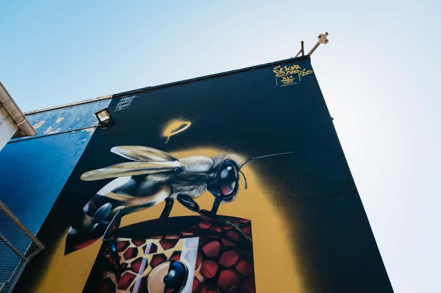 Cape Town: Street Art Walking Tour in Woodstock - The Old Biscuit Mill: International Names, Local Voices
