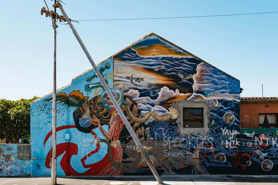 Cape Town: Street Art Walking Tour in Woodstock - What You’ll Learn About Cape Town Through Murals