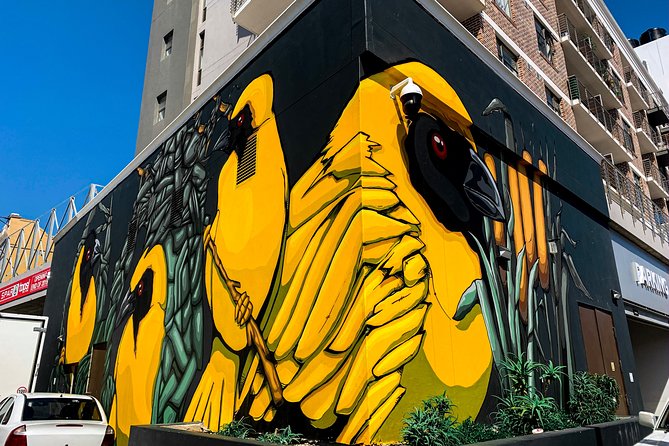 Cape Town Woodstock Street Art Walking Tour - Price and value for a 90-minute local-artist tour
