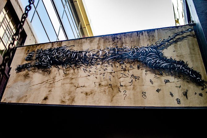 Cape Town Woodstock Street Art Walking Tour - Practicalities: timing, group size, and what to bring