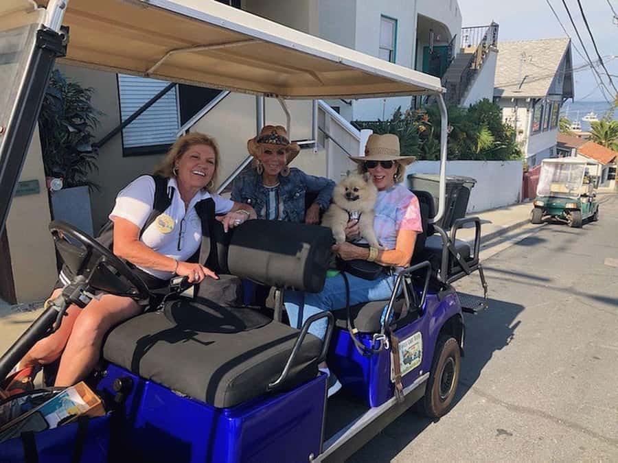 Catalina Island: Private Guided Golf Cart Tour of Avalon - Why Avalon feels easier from a golf cart