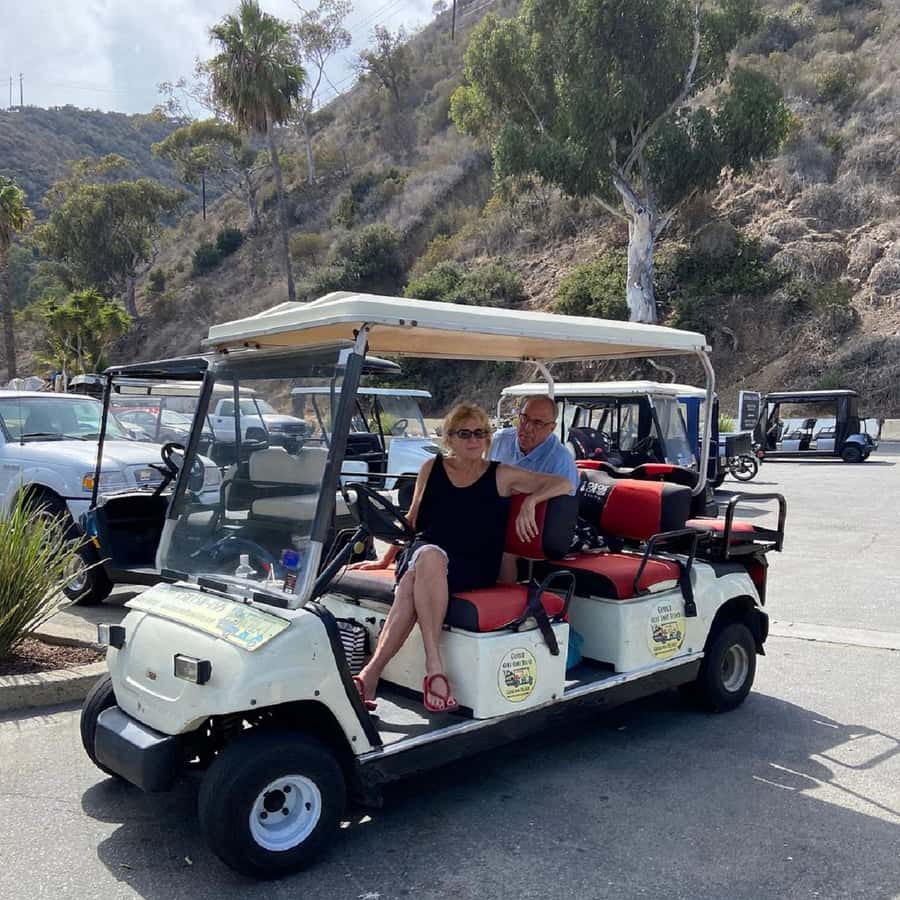 Catalina Island: Private Guided Golf Cart Tour of Avalon - Getting real island context from local guides