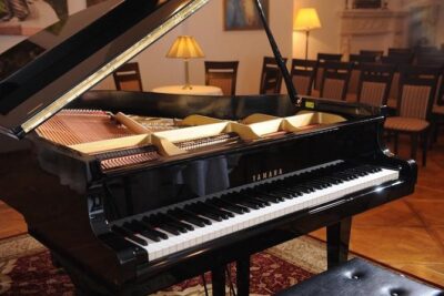 Chopin Piano Concert at Chopin Gallery with a Glass of Wine - Inside the 1-hour recital: what the evening actually feels like