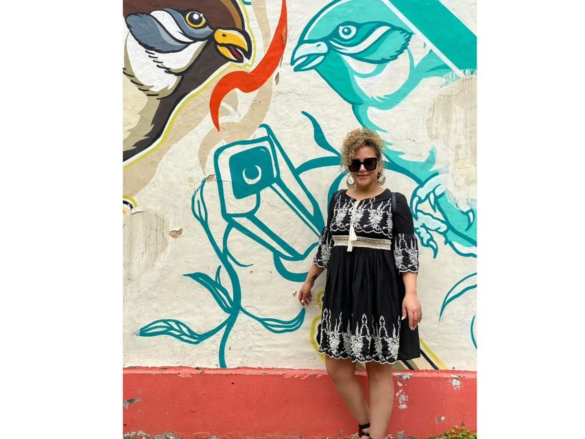 Delhi Street Art Tour: Explore the Murals & Visit a Stepwell - Moving through mural clusters and quick photo backdrops
