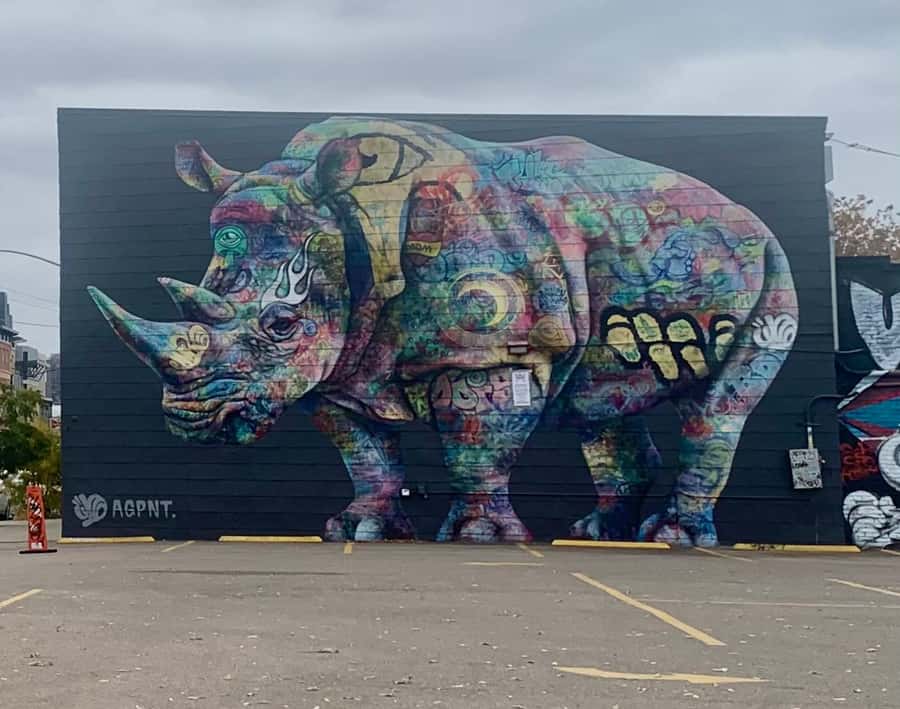 Denver: RiNo Art District Graffiti and Street Art Tour - The value question: is $35 worth it?