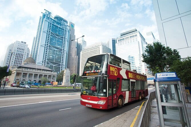 Discover the Best of Hong Kong Street Art - Private tour - Who should book this tour (and who might want another plan)