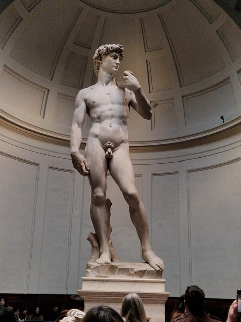 Explore Accademia Gallery on Free Museum Day - Price and Value: What $35 Buys You Here