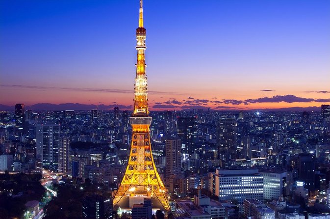 Flagship 2-Hours Official Street Go-Kart Tour - Tokyo Bay Shop - Quick Hits Before You Go