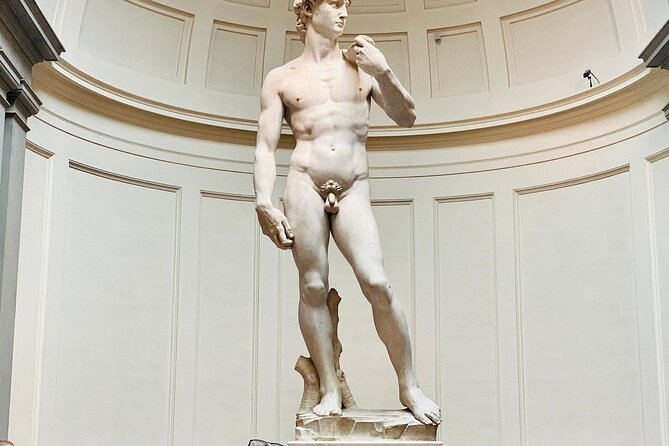 Florence: Accademia Gallery Entry Ticket with Audio Guide - David Under a Natural Skylight: Why Photos Don’t Win