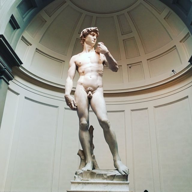 Florence: Accademia Gallery Guided Experience - Getting There: Palazzo Alfani Meeting Point and the Purple Flag