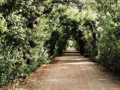 Florence: Pitti Palace, Boboli Garden, Palatine Gallery Tour - Palatine Gallery: The Medici’s Art-Collecting Playground