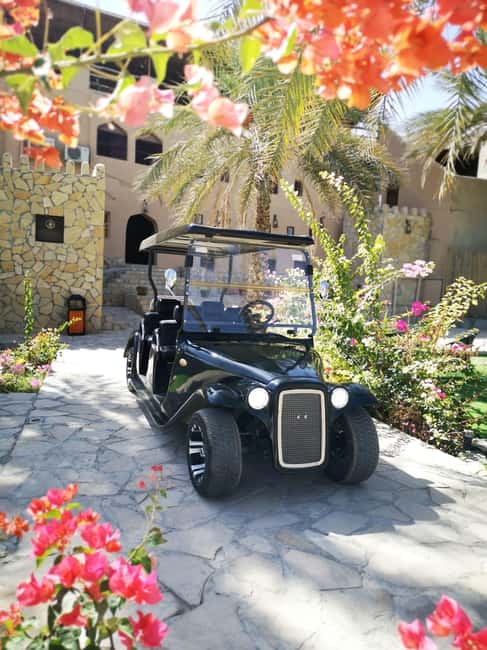 From Jebel Akhdar: Al Aqur Village Cultural Cart Tour - Key highlights you’ll remember