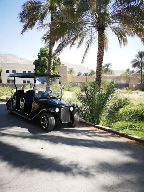 From Jebel Akhdar: Al Aqur Village Cultural Cart Tour - Timing and logistics in Nizwa: how to start without stress